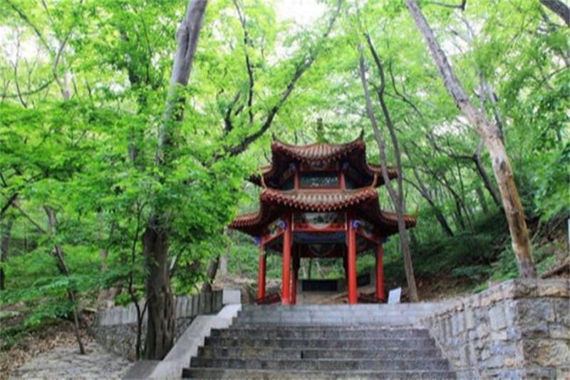 萧县凤山森林公园造林绿化工程