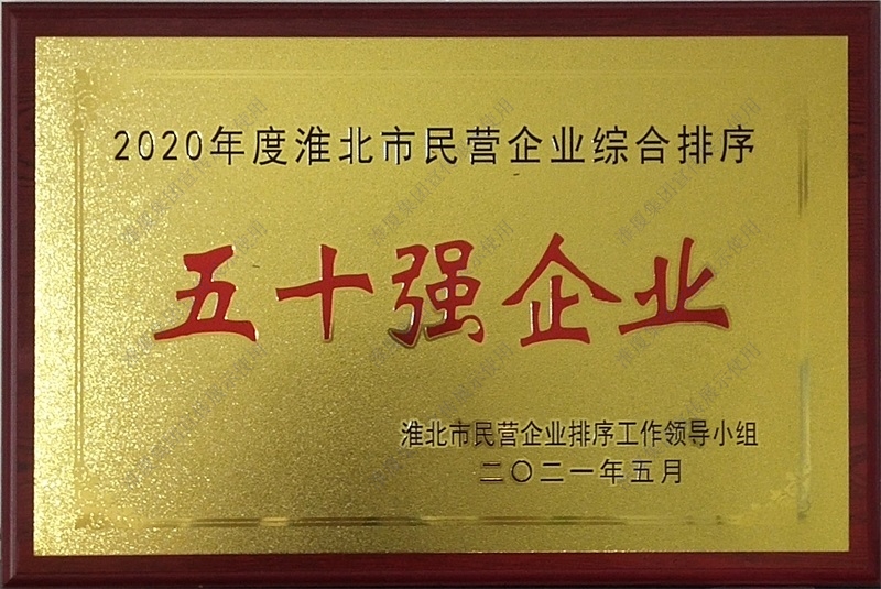 五十强企业